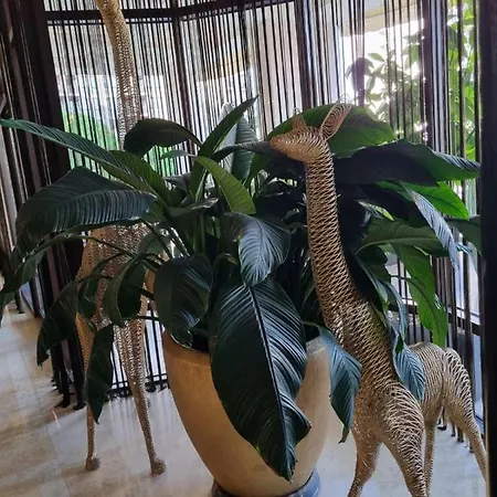 Private Sea- G Apartman Napospart